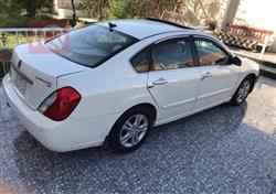 رينو سافران